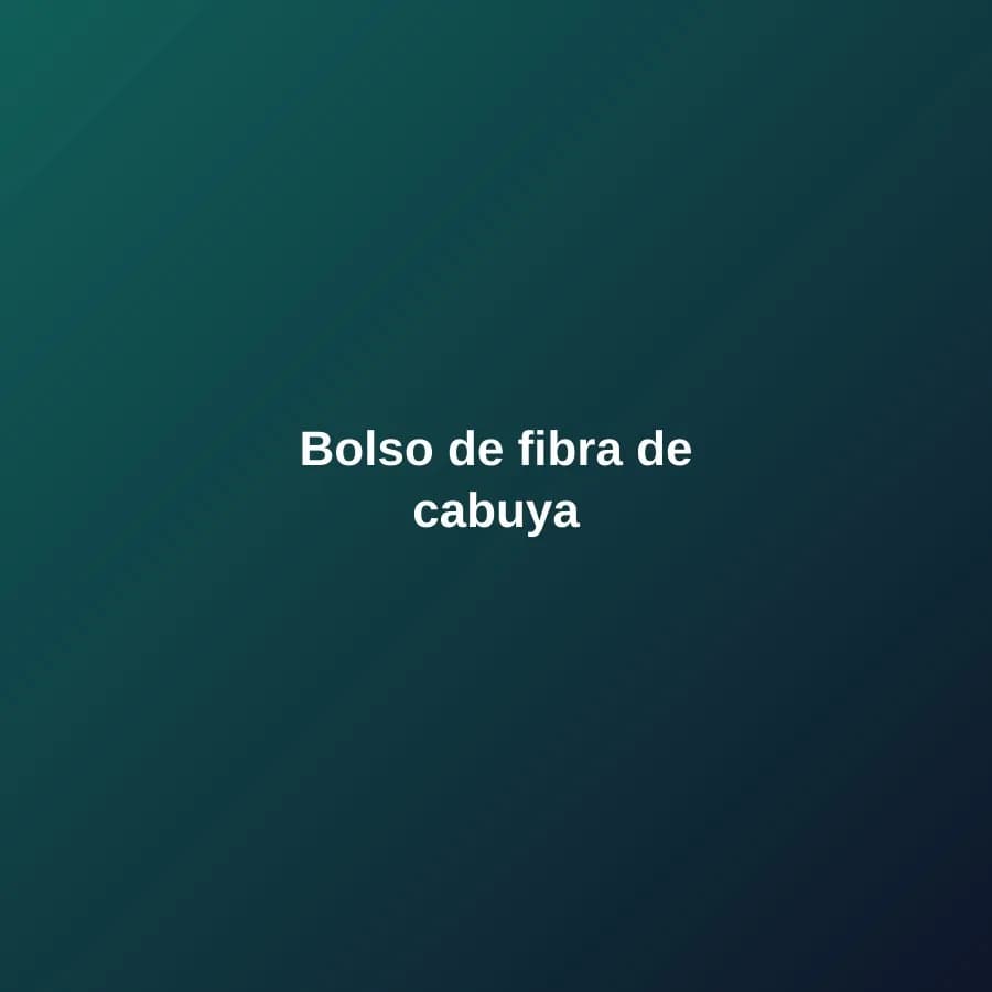 Bolso de fibra de cabuya