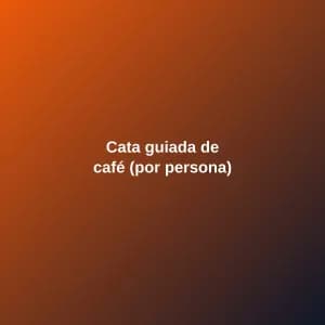 Cata guiada de café (por persona)